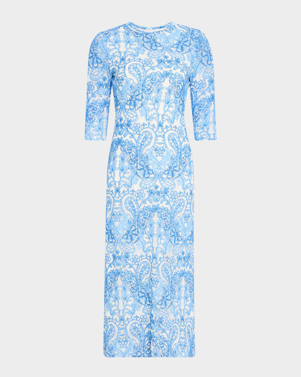 Wynifred Embroidered Mesh Midi Dress